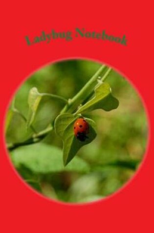 Cover of Ladybug