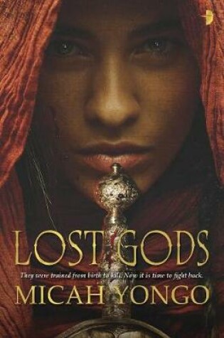 Cover of Lost Gods