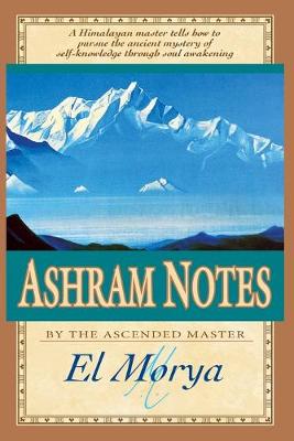 Book cover for Ashram Notes