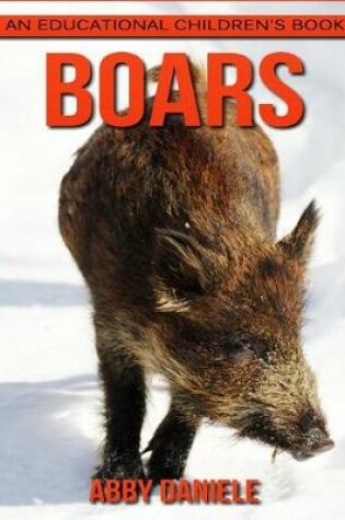 Cover of Boars! an Educational Children's Book about Boars with Fun Facts & Photos