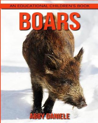 Book cover for Boars! an Educational Children's Book about Boars with Fun Facts & Photos