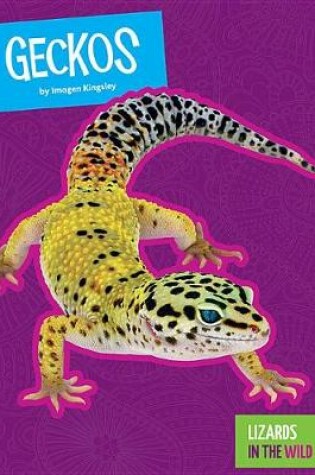 Cover of Geckos