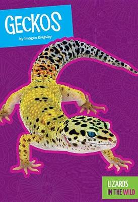 Book cover for Geckos