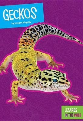 Cover of Geckos