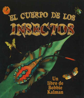 Book cover for El Cuerpo de Los Insectos (Insect Bodies)