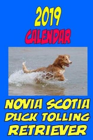 Cover of 2019 Calendar Novia Scotia Duck Tolling Retriever