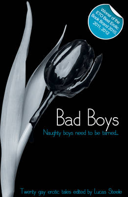 Cover of Bad Boys