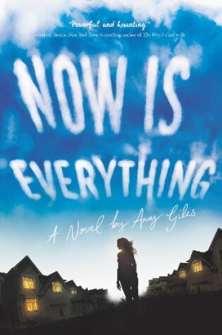 Cover of Now Is Everything