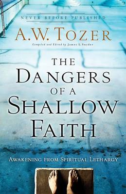 Book cover for The Dangers of a Shallow Faith