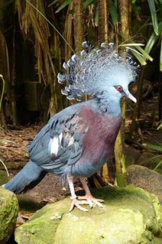 Cover of Western Blue Crowned Pigeon Journal