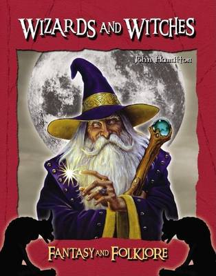 Book cover for Wizards and Witches