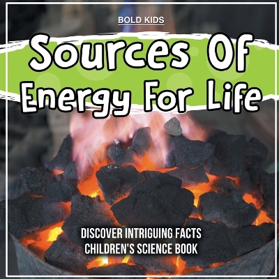 Book cover for Sources Of Energy For Life 2nd Grade Children's Science Book