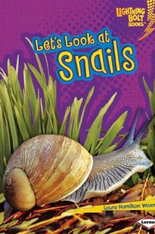 Cover of Lets Look at Snails