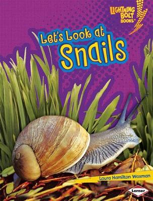 Book cover for Lets Look at Snails