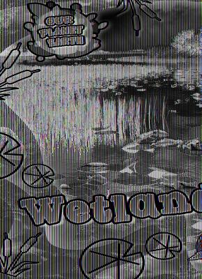 Cover of Wetlands