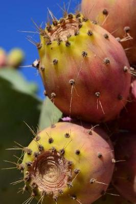 Book cover for Fresh Prickly Pears Journal