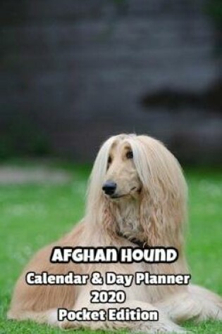 Cover of Afghan Hound Calendar & Day Planner 2020 Pocket Edition