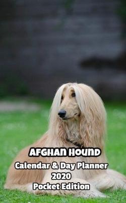 Book cover for Afghan Hound Calendar & Day Planner 2020 Pocket Edition