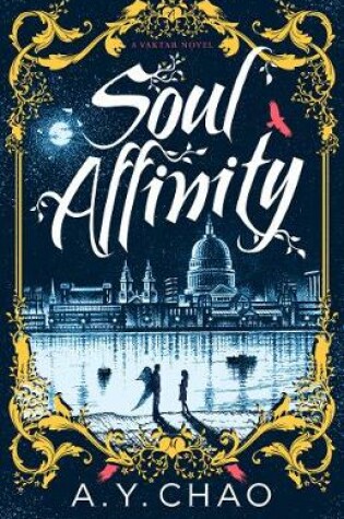 Cover of Soul Affinity