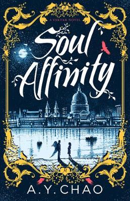 Book cover for Soul Affinity