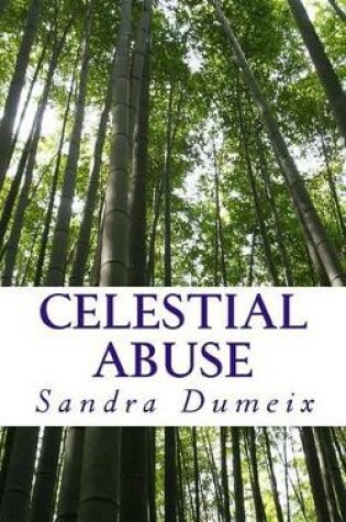 Cover of Celestial Abuse
