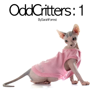 Book cover for Odd Critters