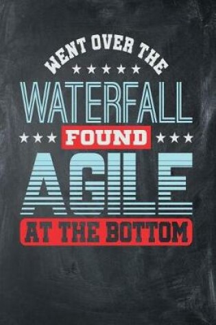 Cover of Went Over the Waterfall Found Agile at the Bottom