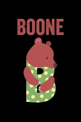 Book cover for Boone