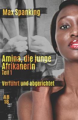 Book cover for Amina, die junge Afrikanerin