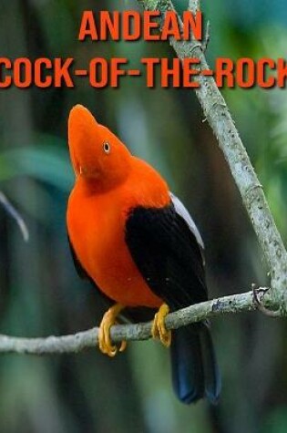 Cover of Andean Cock-of-The-Rock