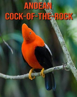 Book cover for Andean Cock-of-The-Rock