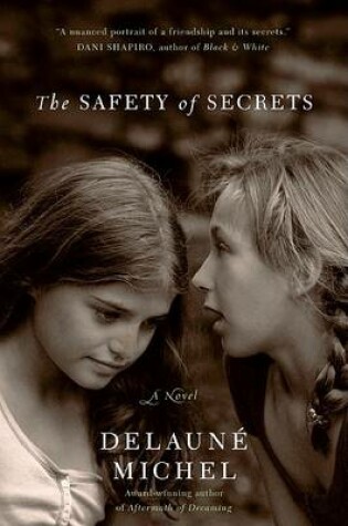 Cover of The Safety Of Secrets