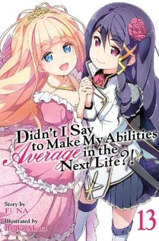 Cover of Didn't I Say to Make My Abilities Average in the Next Life?! (Light Novel) Vol. 13