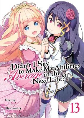 Cover of Didn't I Say to Make My Abilities Average in the Next Life?! (Light Novel) Vol. 13