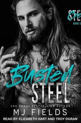 Cover of Busted Steel