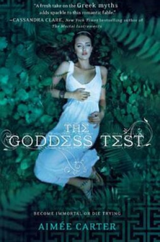 Cover of The Goddess Test