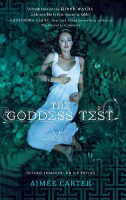 Book cover for The Goddess Test