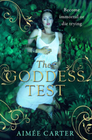 Cover of The Goddess Test