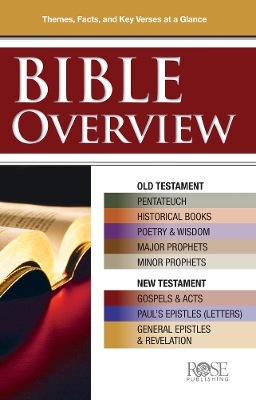 Book cover for Bible Overview