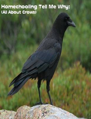 Book cover for Homeschooling Tell Me Why:  (All About Crows)