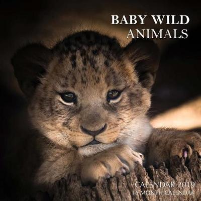 Book cover for Baby Wild Animals Calendar 2019