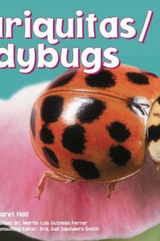 Cover of Ladybugs