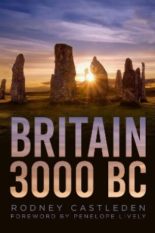 Cover of Britain 3000 BC