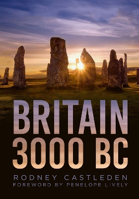 Book cover for Britain 3000 BC