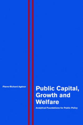 Cover of Public Capital, Growth and Welfare