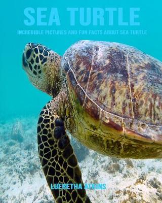 Book cover for Sea Turtle