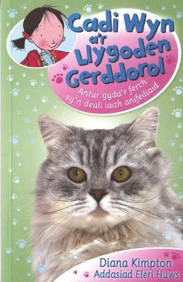 Book cover for Cadi Wyn a'r Llygoden Gerddorol
