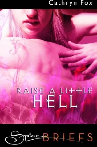 Cover of Raise A Little Hell