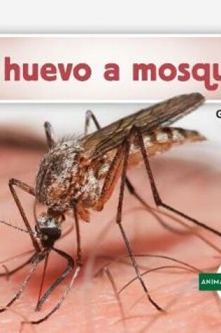 Cover of de Huevo a Mosquito (Becoming a Mosquito )