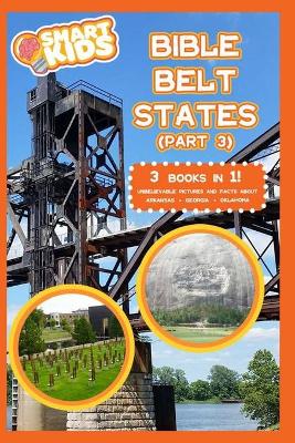 Book cover for Bible Belt States 3